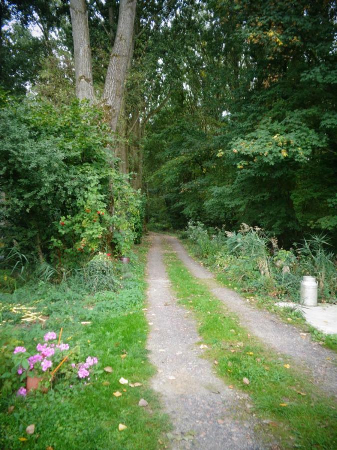 L'Orée du Bois Coutiches Esterno foto